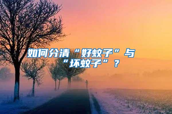 如何分清“好蚊子”與“壞蚊子”？
