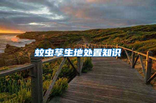 蚊蟲(chóng)孳生地處置知識(shí)