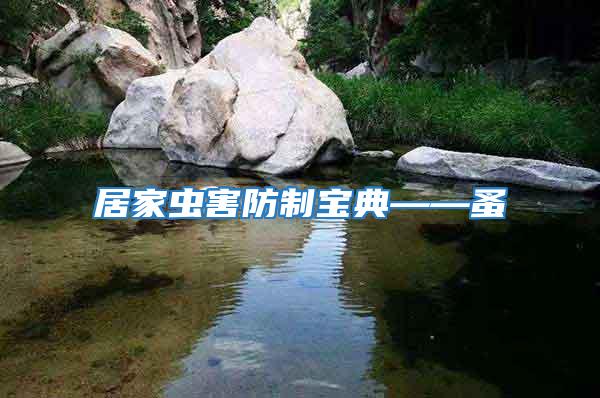 居家蟲(chóng)害防制寶典——蚤