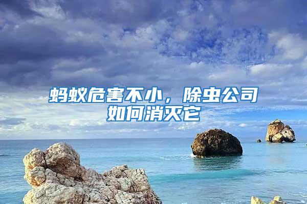 螞蟻危害不小，除蟲公司如何消滅它