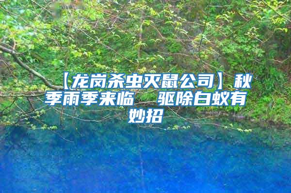 【龍崗殺蟲滅鼠公司】秋季雨季來臨  驅除白蟻有妙招