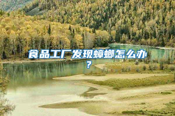 食品工廠發現蟑螂怎么辦？
