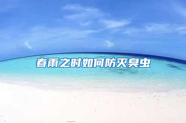 春雨之時如何防滅臭蟲