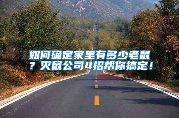 如何確定家里有多少老鼠？滅鼠公司4招幫你搞定！