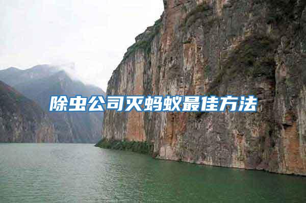 除蟲公司滅螞蟻?zhàn)罴逊椒?/></p>
             <p style=
