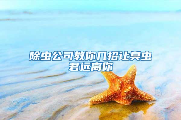 除蟲公司教你幾招讓臭蟲君遠離你