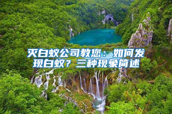 滅白蟻公司教您：如何發現白蟻？三種現象簡述
