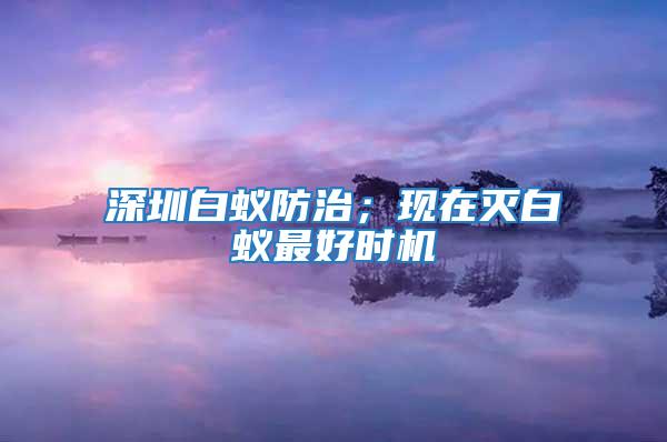 深圳白蟻防治；現在滅白蟻最好時機