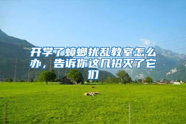 開學了蟑螂擾亂教室怎么辦，告訴你這幾招滅了它們
