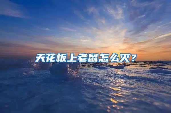 天花板上老鼠怎么滅？