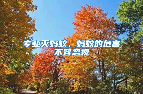 專業滅螞蟻，螞蟻的危害不容忽視