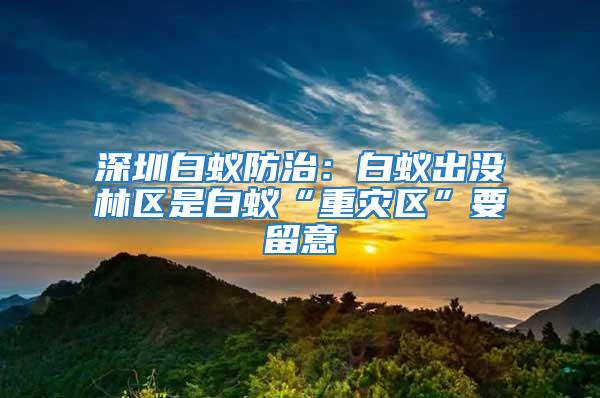深圳白蟻防治：白蟻出沒林區是白蟻“重災區”要留意