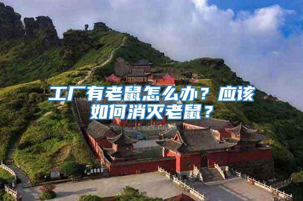 工廠有老鼠怎么辦？應(yīng)該如何消滅老鼠？