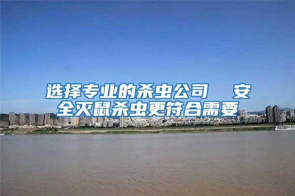 選擇專業的殺蟲公司  安全滅鼠殺蟲更符合需要