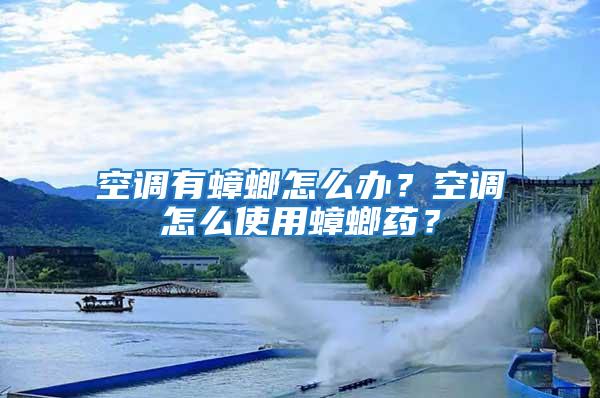 空調有蟑螂怎么辦？空調怎么使用蟑螂藥？