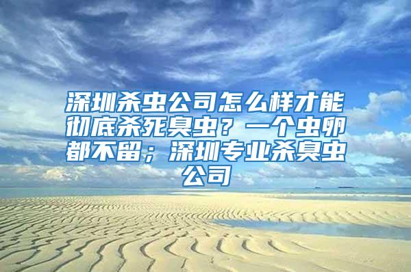 深圳殺蟲公司怎么樣才能徹底殺死臭蟲？一個蟲卵都不留；深圳專業殺臭蟲公司