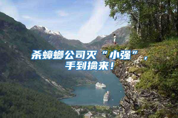 殺蟑螂公司滅“小強(qiáng)”，手到擒來！