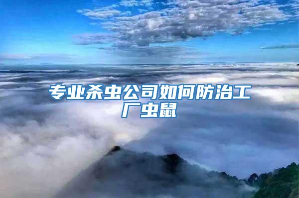 專業殺蟲公司如何防治工廠蟲鼠