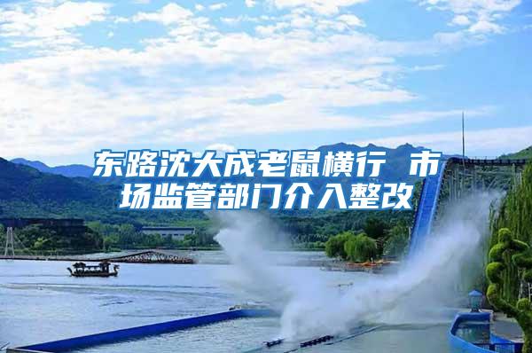 東路沈大成老鼠橫行 市場監管部門介入整改