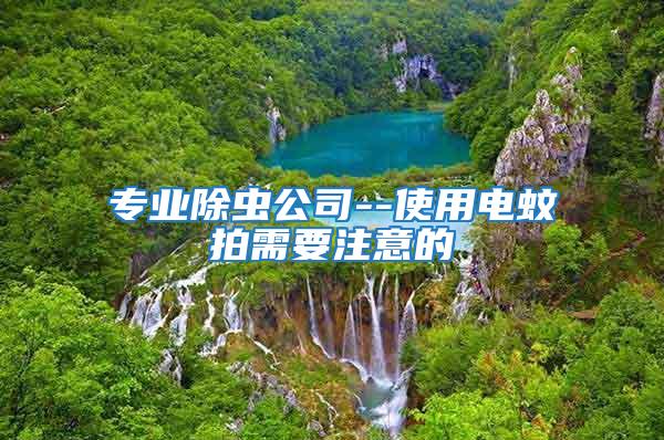 專業除蟲公司--使用電蚊拍需要注意的