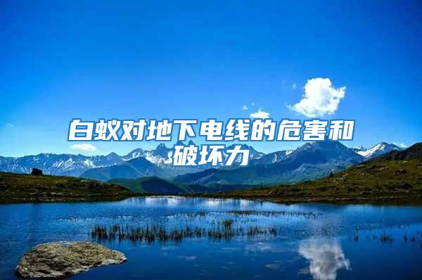 白蟻對地下電線的危害和破壞力
