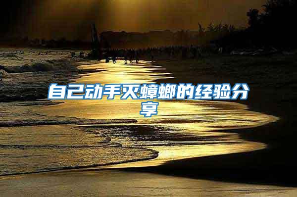 自己動手滅蟑螂的經驗分享