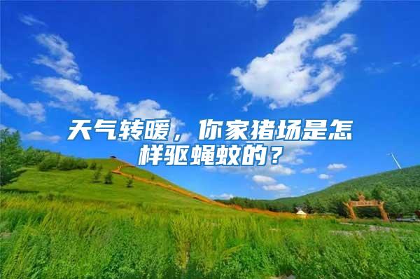 天氣轉暖，你家豬場是怎樣驅蠅蚊的？