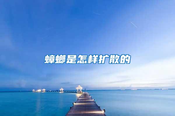 蟑螂是怎樣擴散的