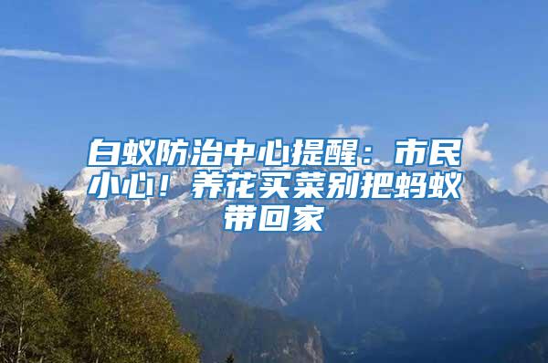白蟻防治中心提醒：市民小心！養(yǎng)花買菜別把螞蟻帶回家