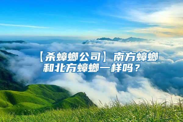 【殺蟑螂公司】南方蟑螂和北方蟑螂一樣嗎？