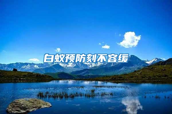 白蟻預(yù)防刻不容緩