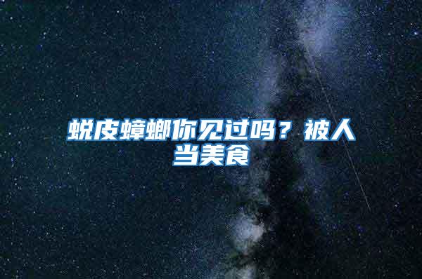 蛻皮蟑螂你見過嗎？被人當(dāng)美食