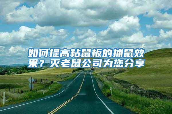 如何提高粘鼠板的捕鼠效果？滅老鼠公司為您分享