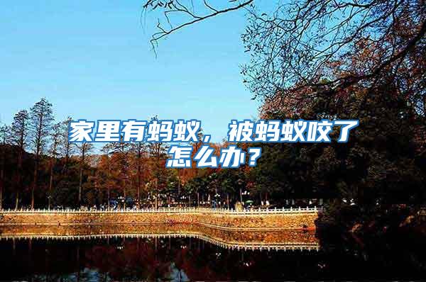 家里有螞蟻，被螞蟻咬了怎么辦？
