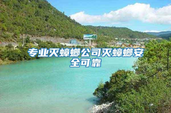 專業滅蟑螂公司滅蟑螂安全可靠