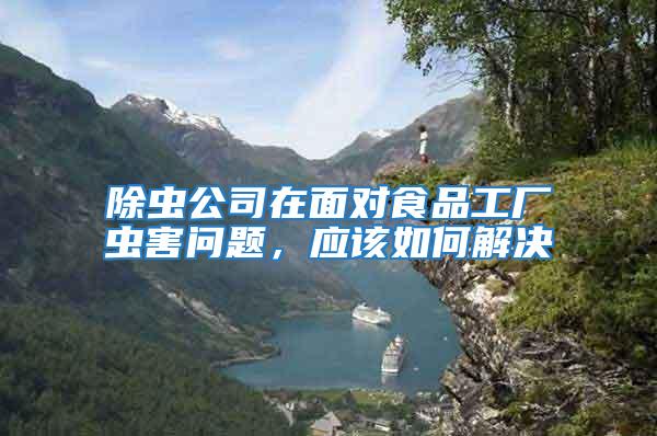 除蟲公司在面對食品工廠蟲害問題，應該如何解決