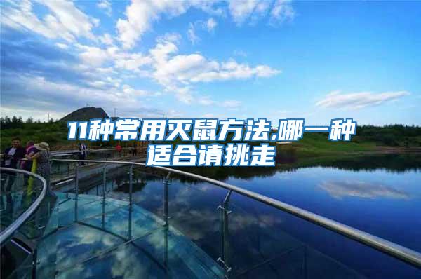 11種常用滅鼠方法,哪一種適合請挑走