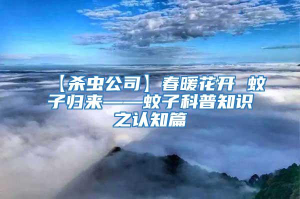 【殺蟲公司】春暖花開 蚊子歸來——蚊子科普知識之認知篇