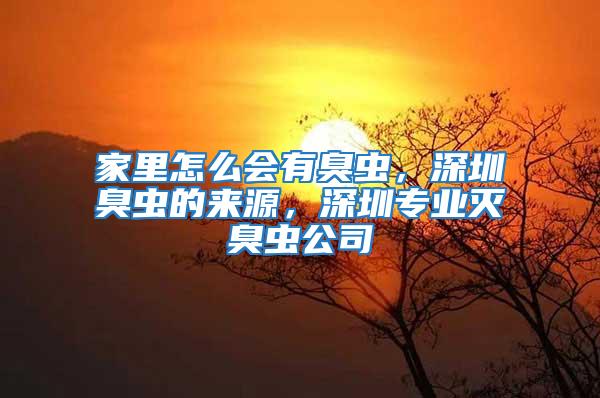 家里怎么會有臭蟲，深圳臭蟲的來源，深圳專業滅臭蟲公司
