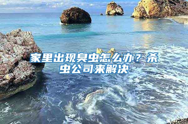 家里出現臭蟲怎么辦？殺蟲公司來解決