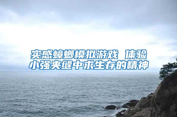 實感蟑螂模擬游戲 體驗小強夾縫中求生存的精神