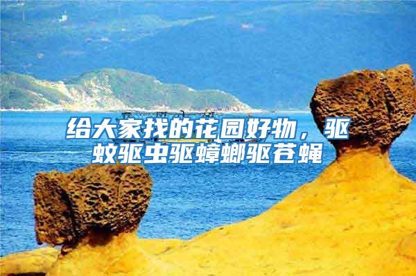 給大家找的花園好物，驅蚊驅蟲驅蟑螂驅蒼蠅