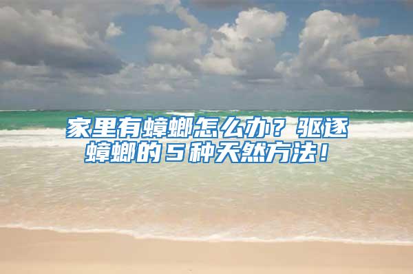 家里有蟑螂怎么辦？驅逐蟑螂的５種天然方法！