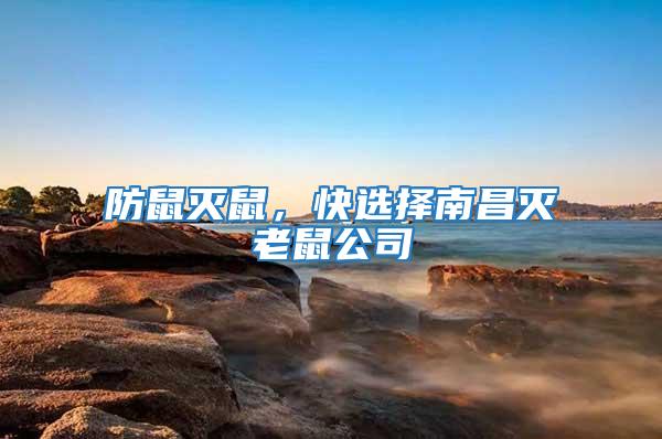 防鼠滅鼠，快選擇南昌滅老鼠公司