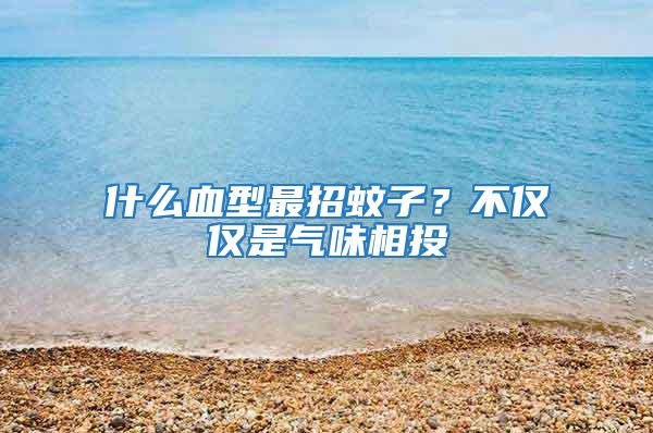 什么血型最招蚊子？不僅僅是氣味相投