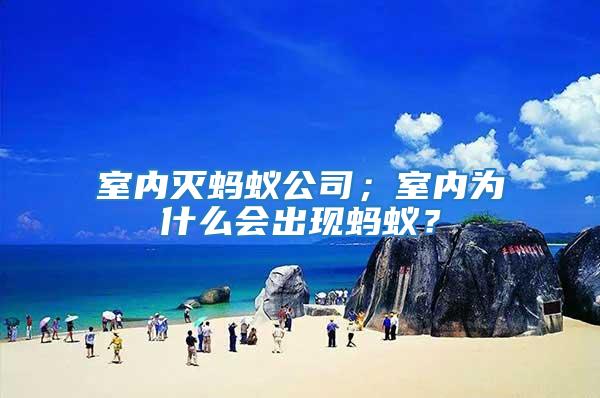 室內滅螞蟻公司；室內為什么會出現螞蟻？