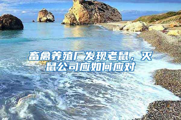 畜禽養(yǎng)殖廠發(fā)現(xiàn)老鼠，滅鼠公司應(yīng)如何應(yīng)對