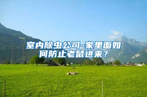 室內(nèi)除蟲公司-家里面如何防止老鼠進來？
