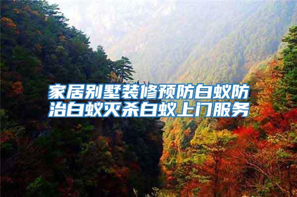 家居別墅裝修預(yù)防白蟻防治白蟻滅殺白蟻上門服務(wù)