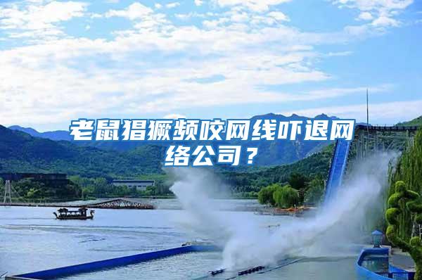 老鼠猖獗頻咬網線嚇退網絡公司？